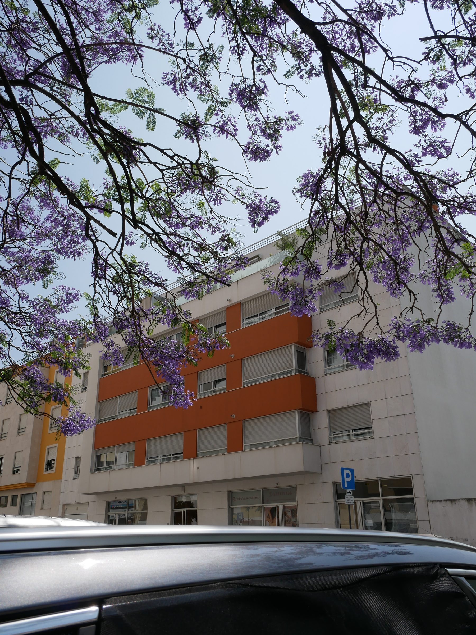 Edifício das Tílias 2 — 3